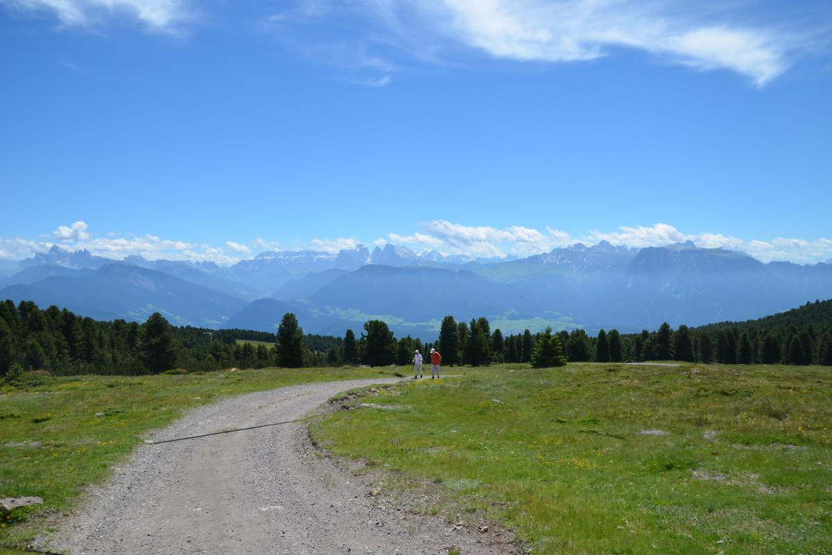 Latschenoelbrennerei und Platzer Alm 06.07.2021